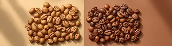 محبوب‌ترین لوازم و اکسسوری قهوه